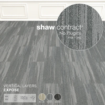 Shaw Carpet Vertical Layers Wall to Wall Floor No 1 — Ver 2