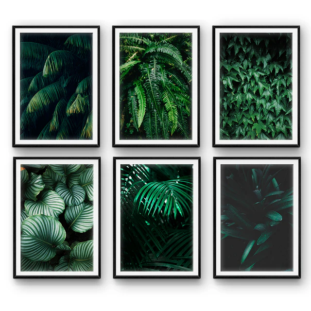 Tropical leaves | set 26 — Descargar