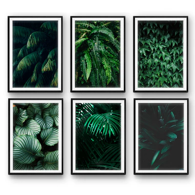 Tropical leaves | set 26 — Ver 1