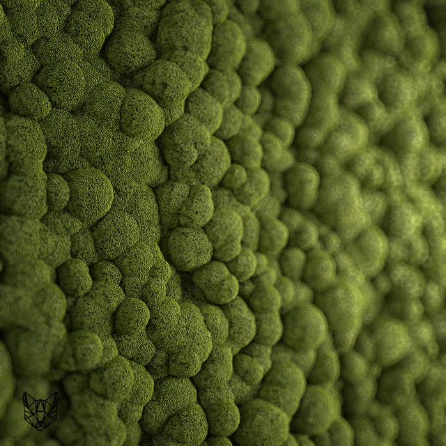 moss — Скачать