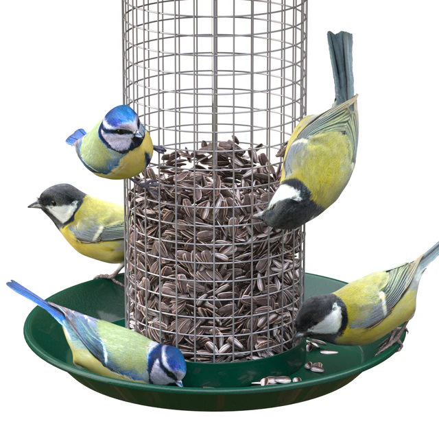 Great Tits and Blue Tits at bird feeder — Скачать