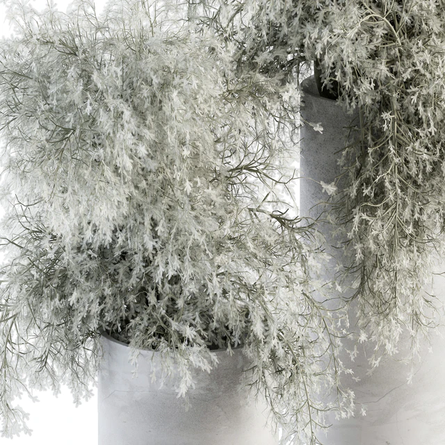 Bouquet - Green Branch in Concrete vase 79 — Descargar