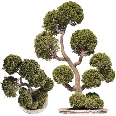 Garden Tree And Bush 01 — Вид 3