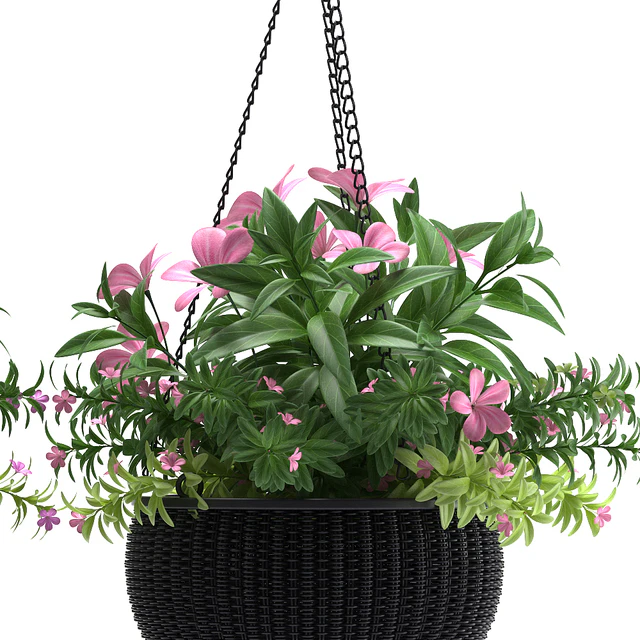 HANGING BASKET — Скачать