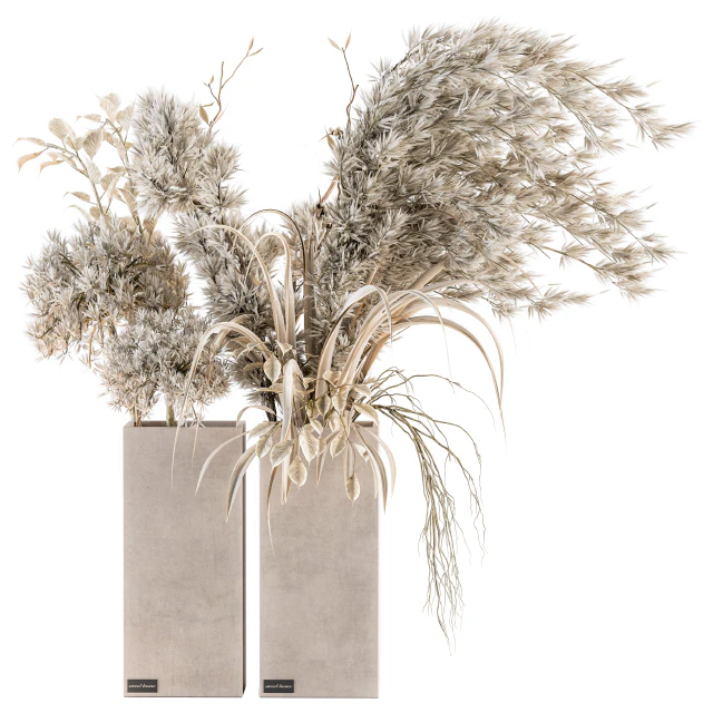 Dry plants 39 - Dried Plant Pampas — Descargar