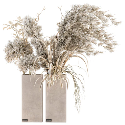 Dry plants 39 - Dried Plant Pampas — Ver 1