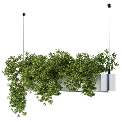 Hanging box plant — Ver 1