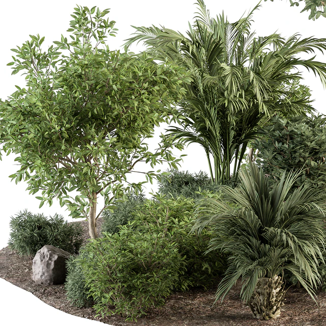 Garden Plants - Outdoor Plants 442 — Descargar