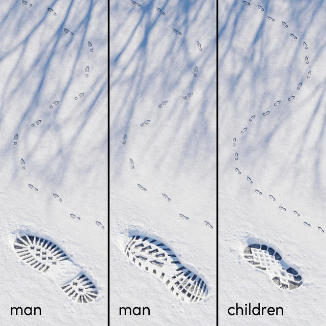 Prints in the snow — Descargar