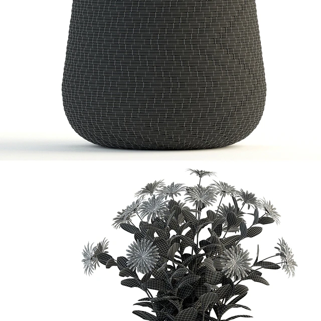 Plants collection 81 — Скачать