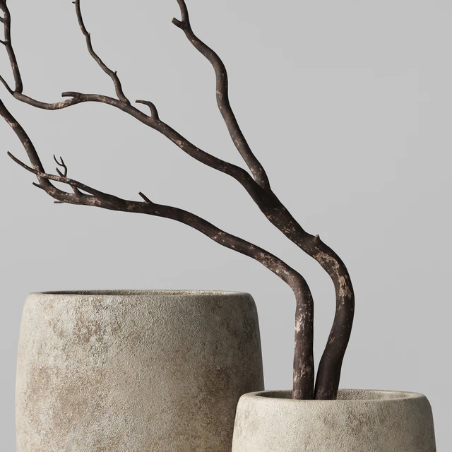 Artisan Rustic Vases with dry Branches — Скачать
