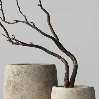 Artisan Rustic Vases with dry Branches — Вид 4