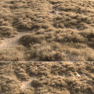 Dried grass — Вид 1