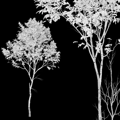 Jungle trees set — View 4