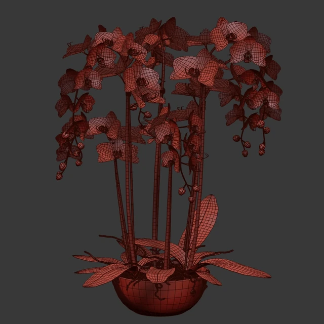 Orchid — Descargar