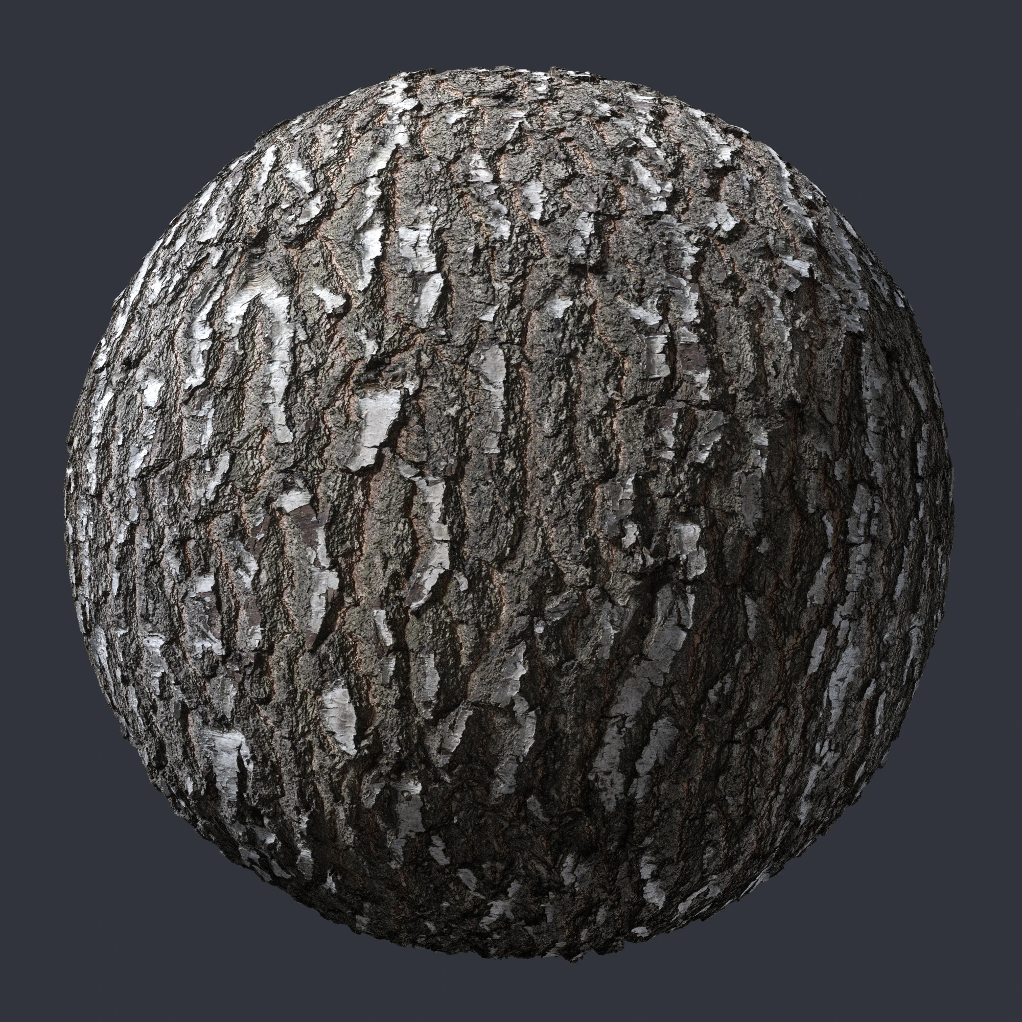 birch bark 008 — Descargar