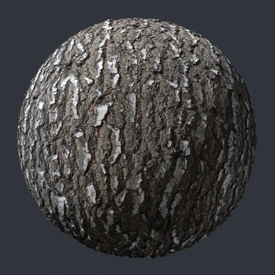 birch bark 008 — Descargar