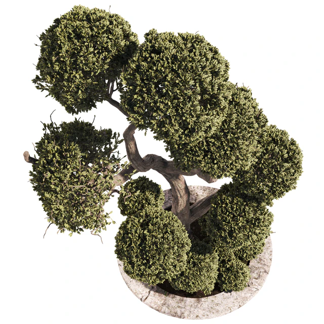 Garden Tree And Bush 01 — Скачать