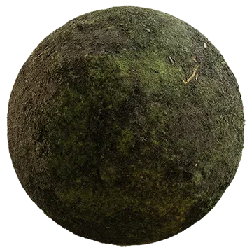 mossy ground 006 — Descargar