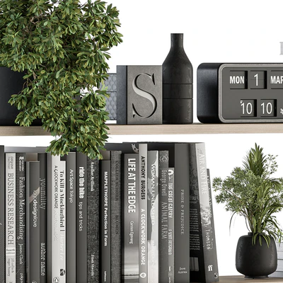 Decorative Set on Shelves and Decor objects - Set 11 — Ver 7