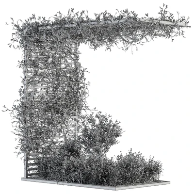 Garden set ivy and Bush - Garden Set 13 — Ver 5