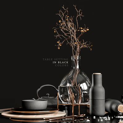 Table setting in black colors 2 — Вид 5
