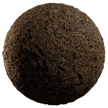 dried grass 016 — Descargar