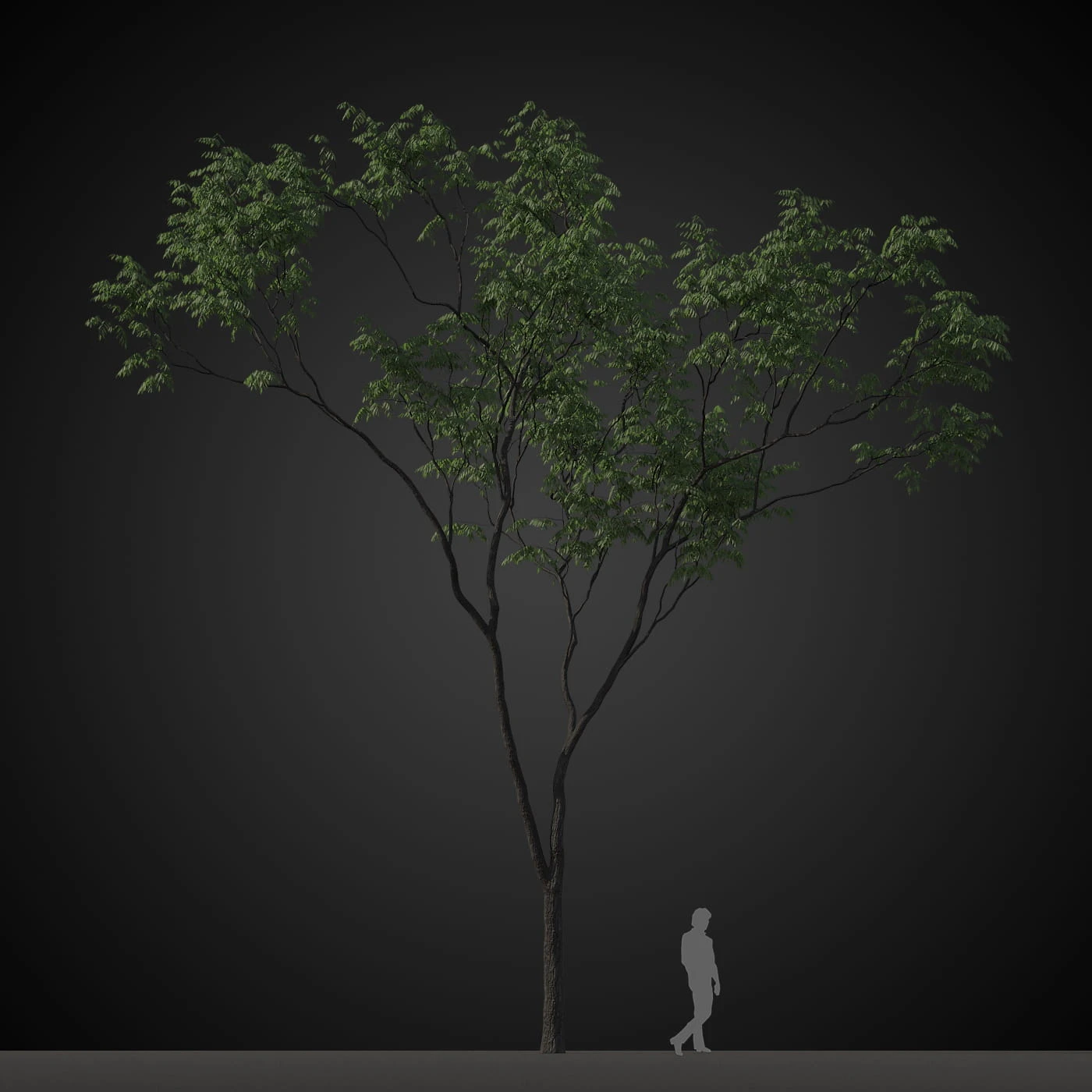 trees 001 — Скачать