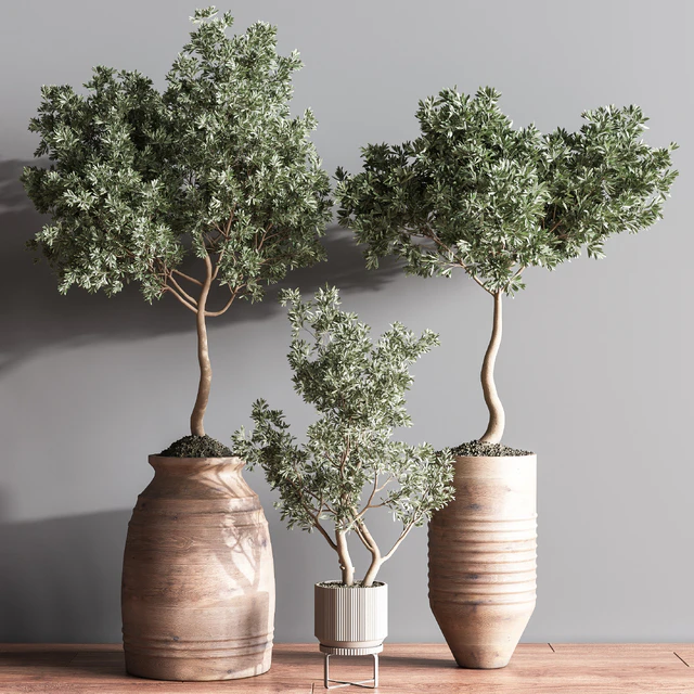 Indoor Plant Set11 — Descargar
