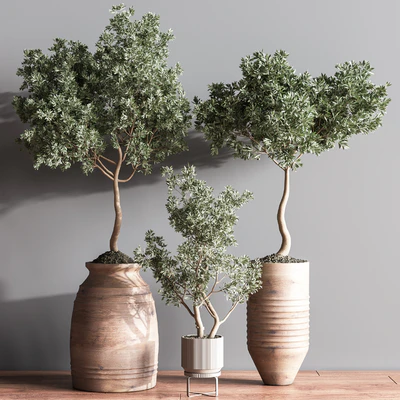 Indoor Plant Set11 — Ver 3