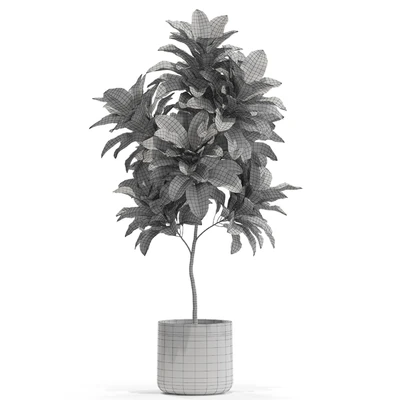 Plants collection 558 — Ver 4