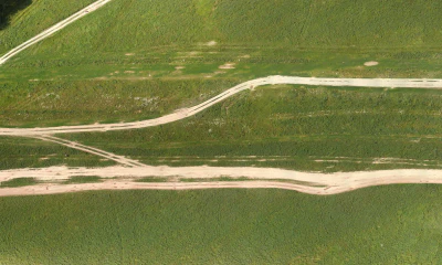 field summer 030 — Скачать