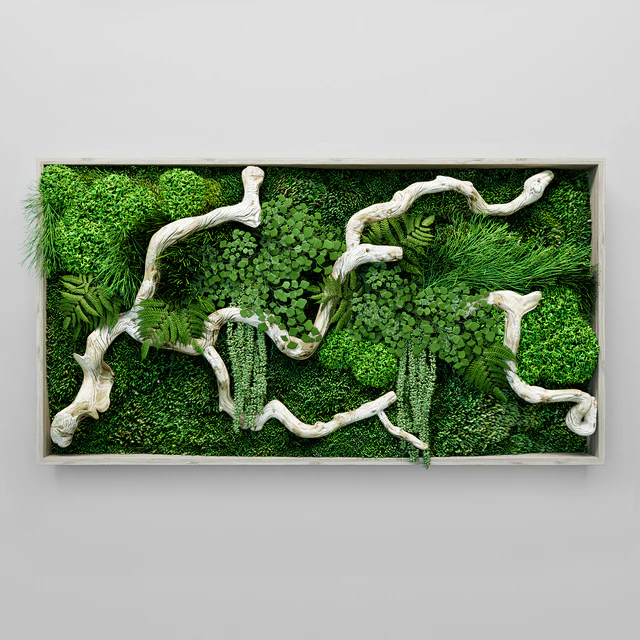 Moss, fern and snag fytowall — Скачать