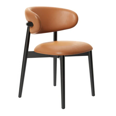 oleandro leather chair by calligaris — Descargar