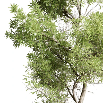 Collection outdoor indoor 85 pot plant & tree & bush — Ver 7
