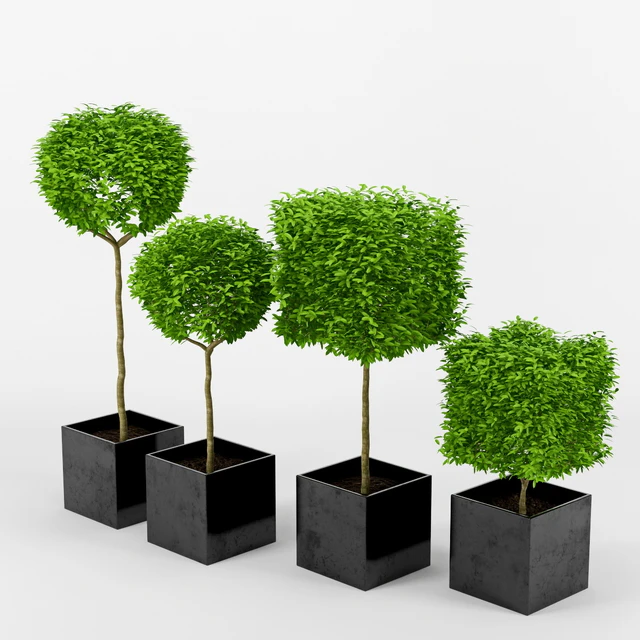 collection of plants 2 — Descargar