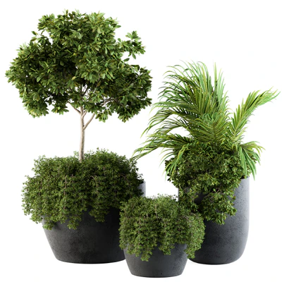 Outdoor Plants Broadleaf - Set 81 — Вид 1