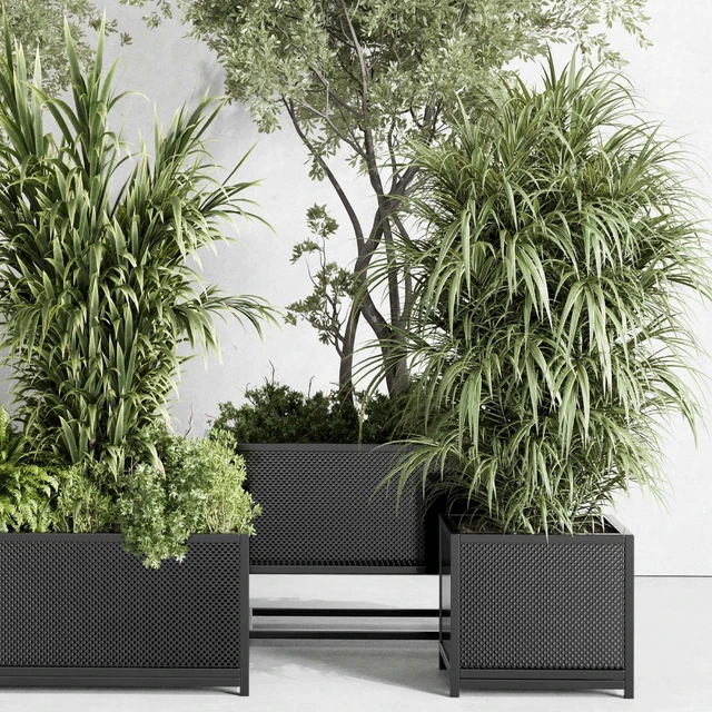 metal box plants on stand - set indoor plant 425 — Скачать