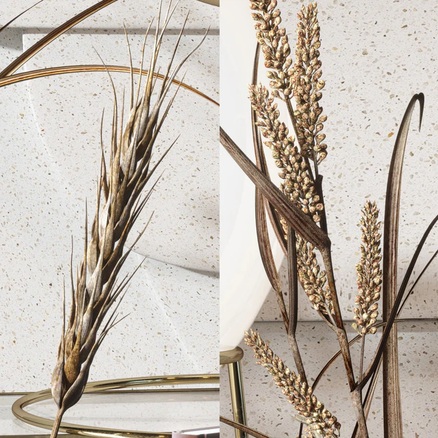 Decorative Set 04 with Carex Riparia and graceful Heracleum — Скачать