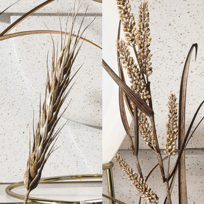 Decorative Set 04 with Carex Riparia and graceful Heracleum — Вид 4