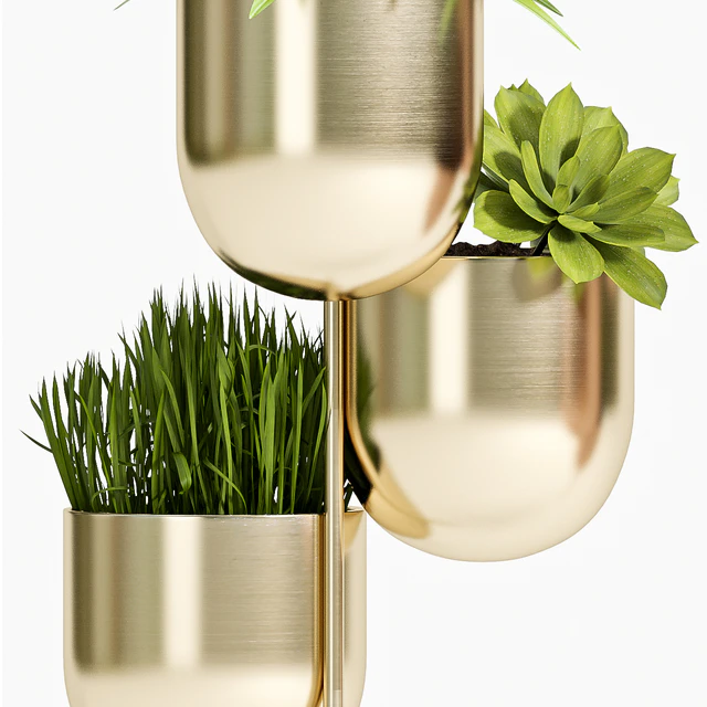 PLANT SET -79 — Descargar