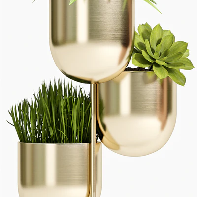 PLANT SET -79 — Ver 3