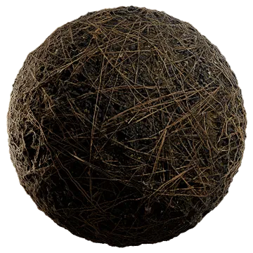 pine needles 011 — Скачать