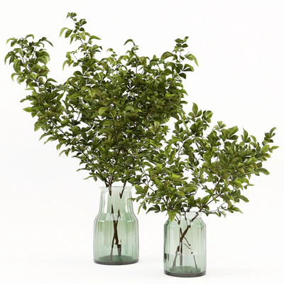 Branches in the vase 002 — Ver 1