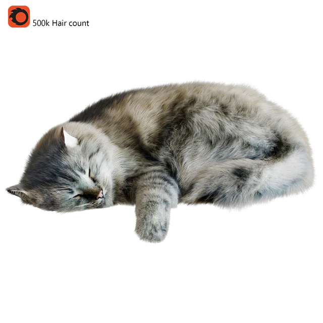 Cat Corona — Descargar