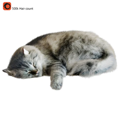 Cat Corona — Ver 1