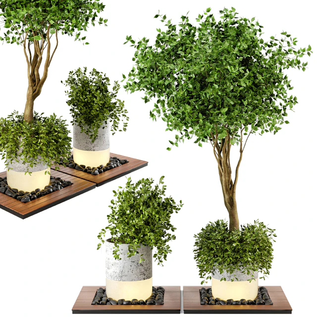 Outdoor Plants bush & Tree Combination of wood & concrete  Pot - Garden Set 45 — Скачать