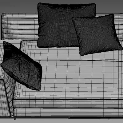 Minotti Roger — Вид 6