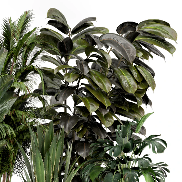 Indoor Plants in Ferm Living Bau Pot Large - Set 572 — Скачать