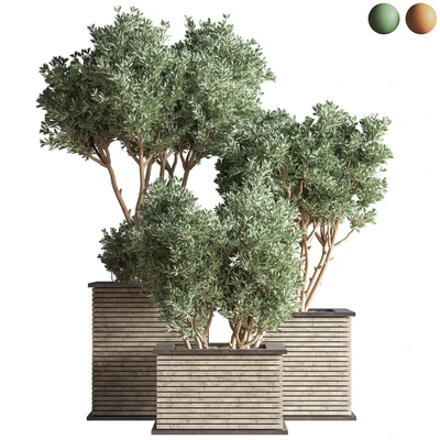 Outdoor Plants tree 22 — Ver 1